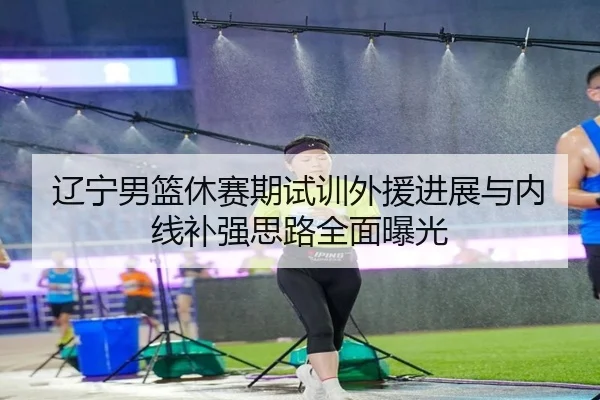 辽宁男篮休赛期试训外援进展与内线补强思路全面曝光