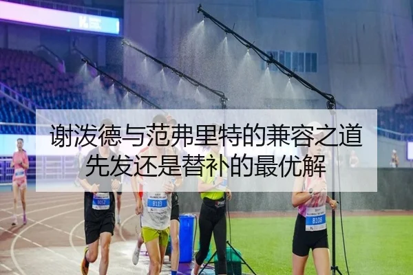 谢泼德与范弗里特的兼容之道 先发还是替补的最优解